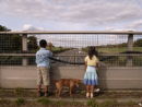 Ext Motorway Bridge